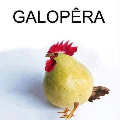 Van do Halen - #Bolsonaronacadeia tweet media
