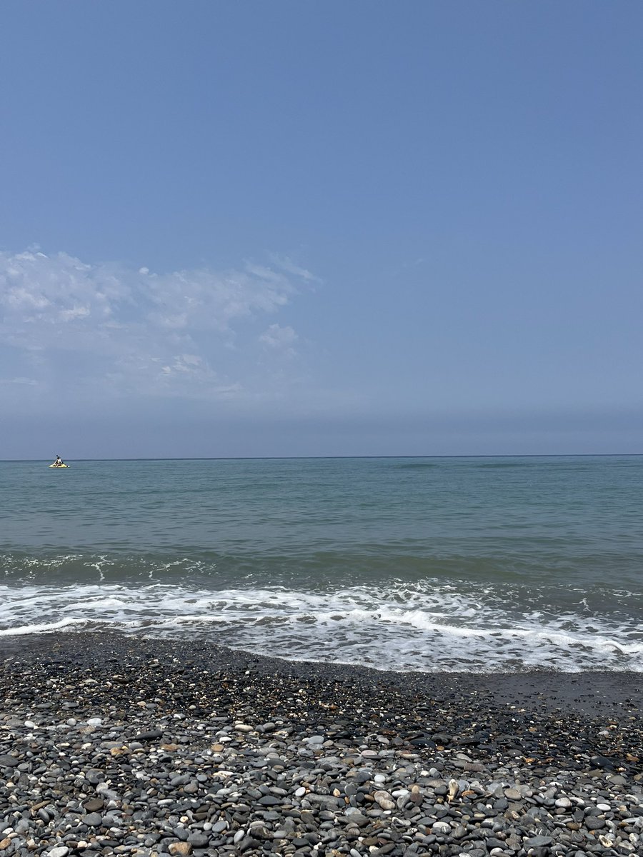 mel4yrs's tweet photo. June 🍋🐚 https://t.co/hu0SwVNrcL
