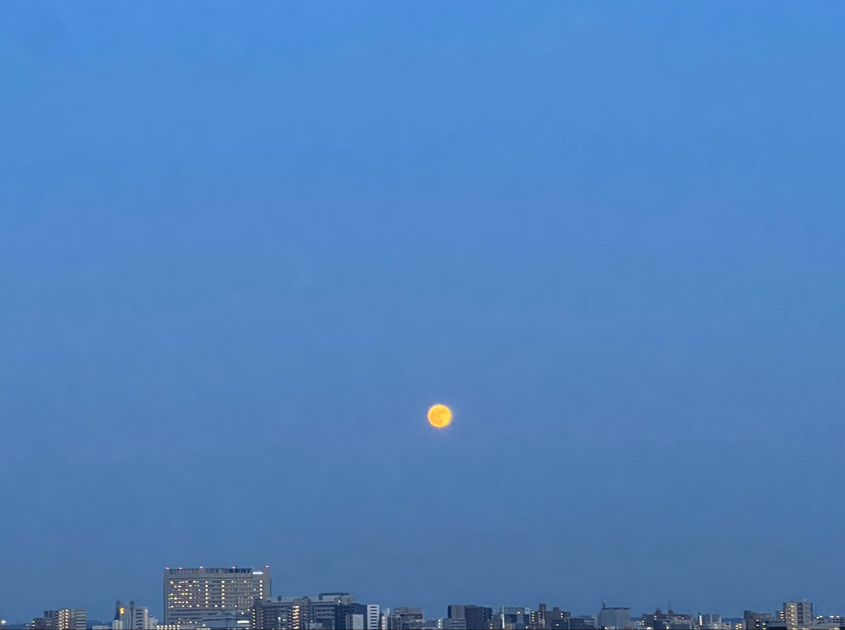 rioh41's tweet photo. 昨日のお月様
ほぼ満月🌕

1枚目は普通に撮って
2枚目は動画から写真撮った

2枚目の方が色合いは現実に近かったよ

今日も見れるかな？
ストロベリームーンて名前🍓
普段よりも赤く見えて綺麗でした♡ https://t.co/uwu4F98D5i