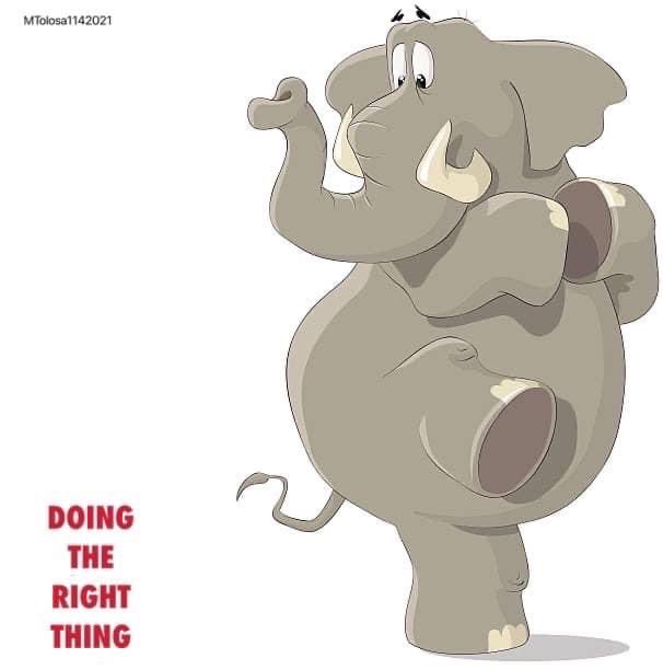 JedHead77's tweet photo. @ProudElephant https://t.co/lWpFtl0e4M