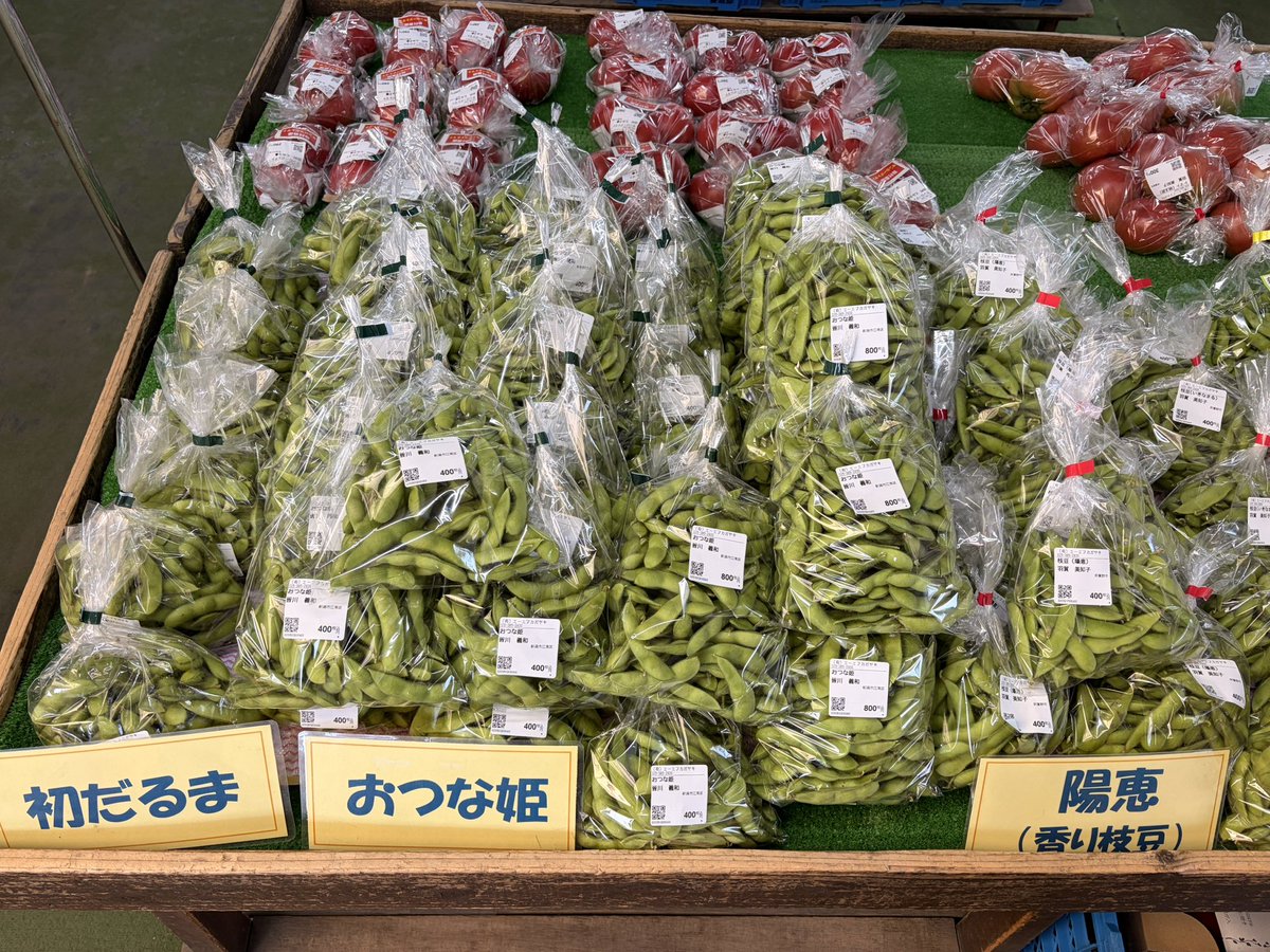 枝豆もさまざまな品種が出ています！ ぜひ食べ比べてみてください😊