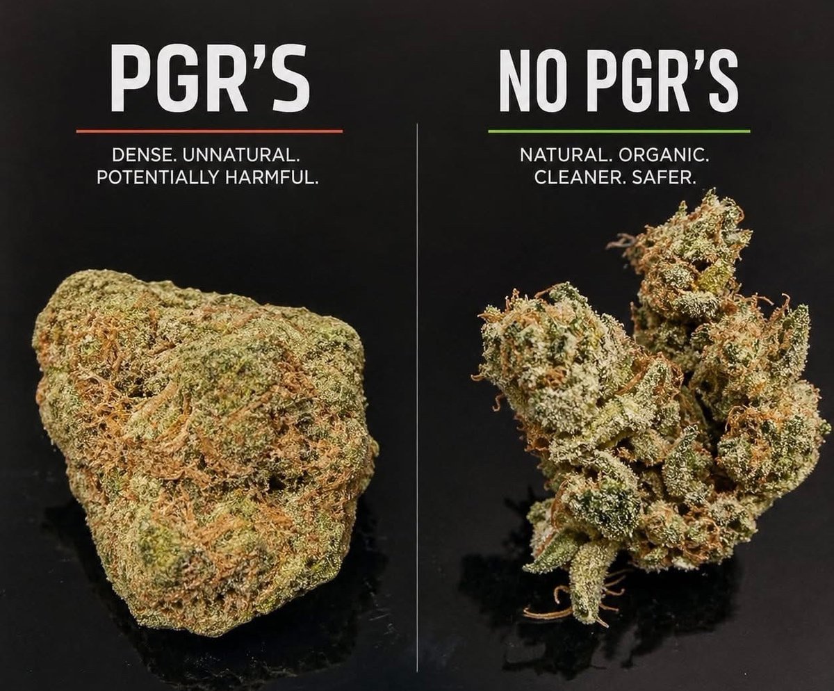 _StonersRUs_ tweet picture