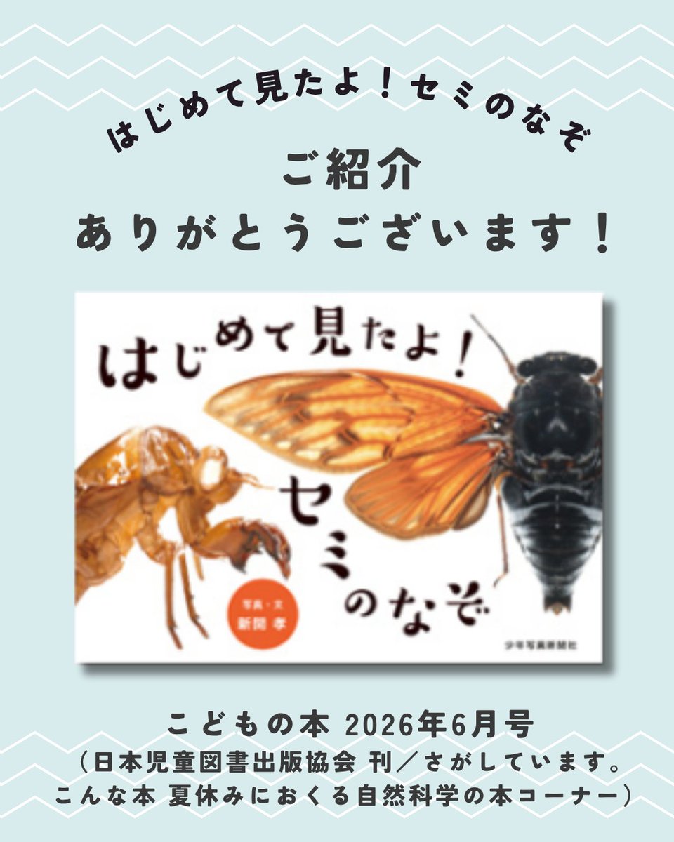 shonen_pr's tweet photo. 📚ご紹介ありがとうございます📚

✅#日本児童図書出版協会 様
「こどもの本 2026年７月号」
さがしています。こんな本 
夏休みにおくる自然科学の本コーナーに
ご掲載頂きました❗️
https://t.co/IovHO1OwrM

『はじめて見たよ！セミのなぞ』
新開 孝：写真・文
https://t.co/MMiHVy3ntr https://t.co/lcRgfKNjEx