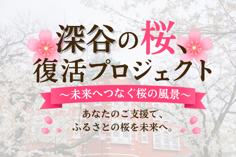 Fukaya_City's tweet photo. 【深谷の桜、復活プロジェクト　寄附募集】（企画課）
🌸深谷の桜が今、老木化やクビアカツヤカミキリの被害により危機に直面しています。桜の風景を未来へつなぐため、桜の復活に取り組みます。皆さまのご支援をお願いします。（募集期間：8月末まで）
https://t.co/mpZetmdfnh
#fukaya https://t.co/WBIKsHPoNs
