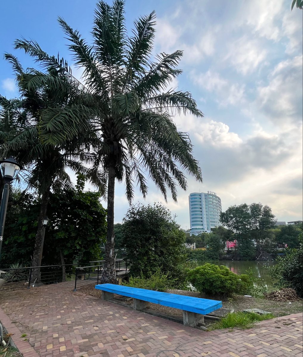 LeonelFuentesS's tweet photo. 🌳 ¿Sabías que los árboles del campus de la @UdeGuayaquil dan mucho más que sombra?

🦎Detrás de cada especie hay historias, curiosidades y un trabajo silencioso que contribuye a conservar uno de los mayores patrimonios naturales del #Ecuador

Recordemos que el #EsteroSalado de #Guayaqui🐛🪾🦩 es el dueño de casa. A propósito de que ayer 28 de junio, fue el #DíaMundialDelÁrbol 💚