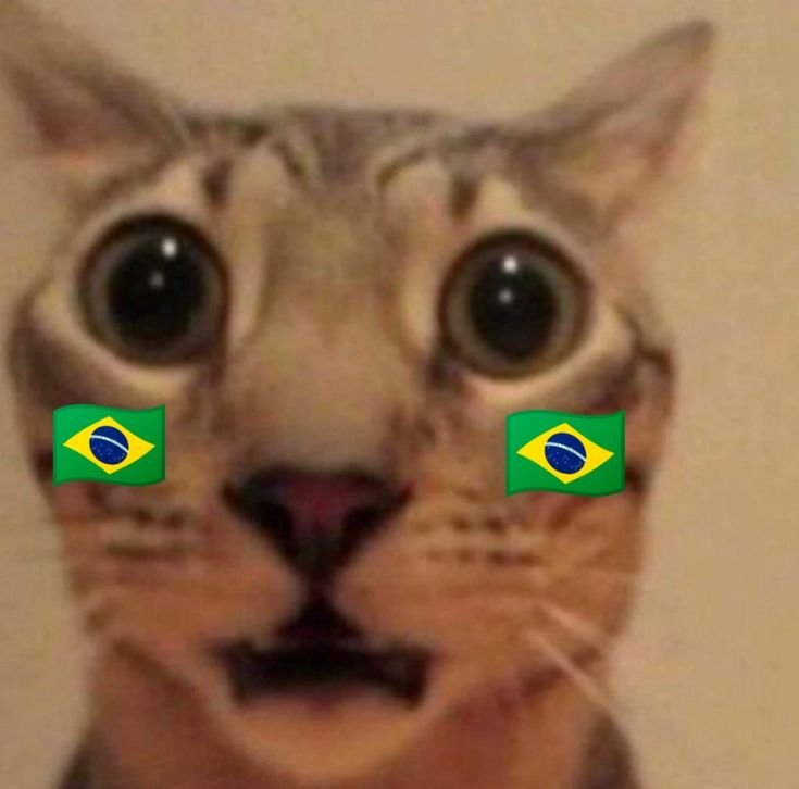 soulanzin's tweet photo. Alemanha, que era uma das seleções favoritas pra ganhar essa copa, acaba de ser ELIMINADA PELO PARAGUAI na decisão por pênaltis!

INACREDITÁVEL MEU DEUS KKKKKKKKKKKKK https://t.co/AtjorXRds0
