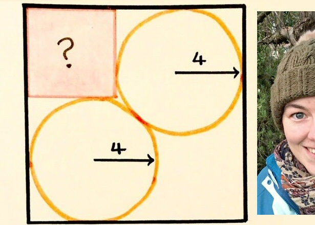pickover's tweet photo. Catriona, a mathematics teacher, drew this. 

In order to help us reach higher realms of harmony and bliss, she asks us: "Two circles, two squares. What’s the shaded area?"

By Catriona Agg, @Cshearer41, Used with permission. https://t.co/OrsL4p3VrS