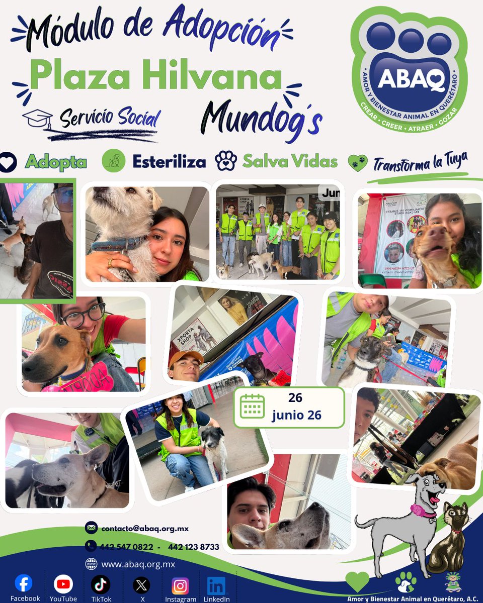 ABAQQueretaroBA's tweet photo. Gracias a Mundog´s por la invitación y a Plaza Hilvana por abrir sus puertas y brindar el espacio para llevar a cabo la jornada de adopción del sábado. #AdoptaNoCompres #AdoptaEsterilizaSalvaVidasTransformalaTuya #Mundogs #PlazaHilvana #BienestarAnimal #SegundasOportunidades https://t.co/8BeL38KlaL