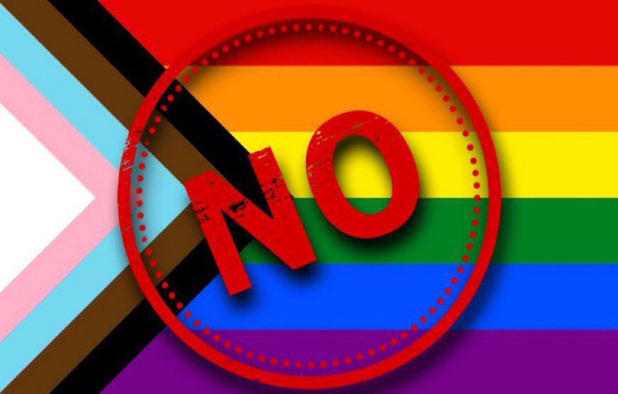 RocioInfantesb's tweet photo. En esta cuenta NO apoyamos la agenda del Lobby LGBT, ni su día, ni su adoctrinamiento a los niños, ni su propaganda progre.🔥 ¿Te sumas? https://t.co/KV8FD9VPGg