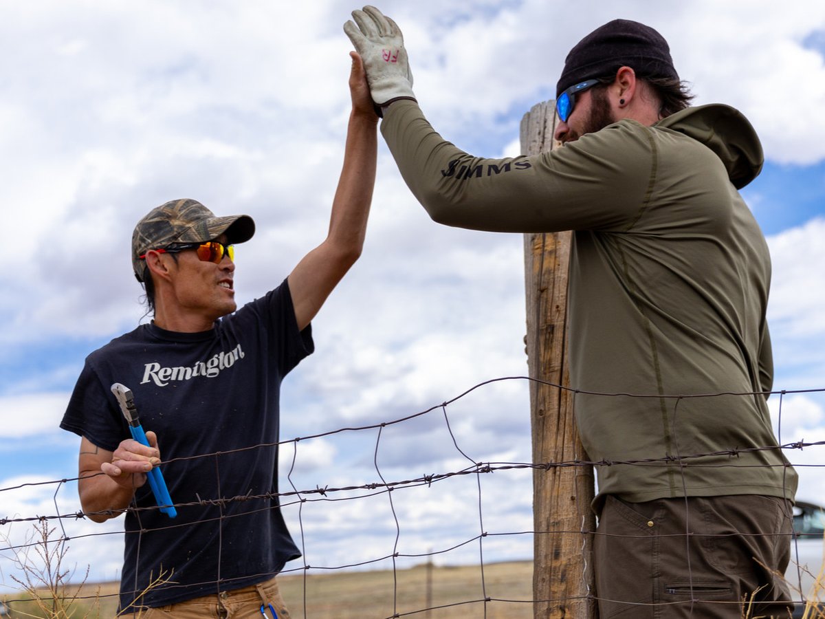 frccedu's tweet photo. Our Wildlife Management students traded the classroom for the field, replacing outdated fencing with wildlife-friendly fencing to improve animal movement and protect one of the last remaining open spaces along Colorado's Front Range. 🦬🌿

Learn more! https://t.co/5Re5JzZHtC https://t.co/pDnrfDlQvA