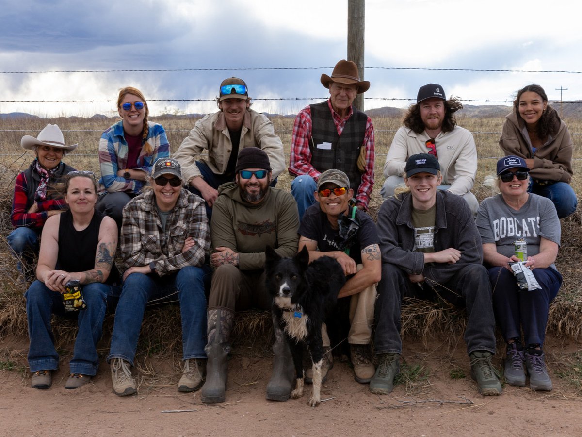 frccedu's tweet photo. Our Wildlife Management students traded the classroom for the field, replacing outdated fencing with wildlife-friendly fencing to improve animal movement and protect one of the last remaining open spaces along Colorado's Front Range. 🦬🌿

Learn more! https://t.co/5Re5JzZHtC https://t.co/pDnrfDlQvA