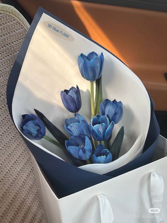 i3Moment's tweet photo. Blue tulips 🌷 https://t.co/H2jyJWUckJ