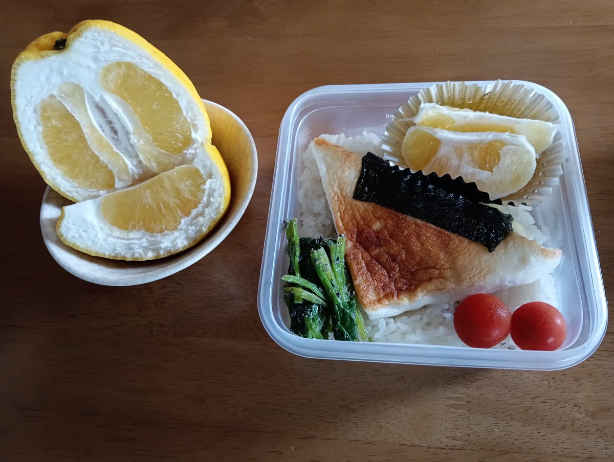 gre93ta's tweet photo. ママのお弁当作った　かたわらにお雛様のような河内晩柑（右肩に紫蝶々） https://t.co/ryjP8tKUxx