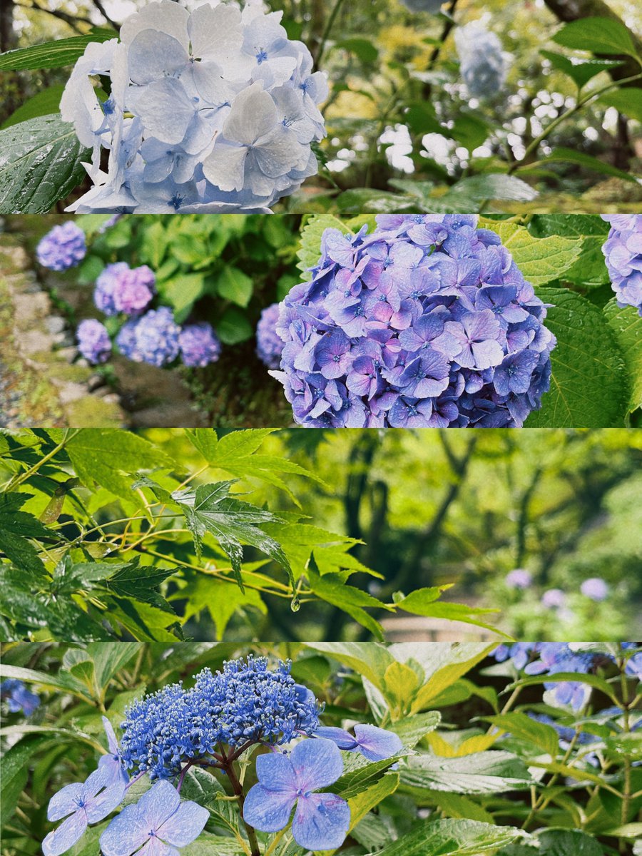 ___8a8a_'s tweet photo. 一緒に見ることができて嬉しかったな💭 https://t.co/EFbZ50uNGT