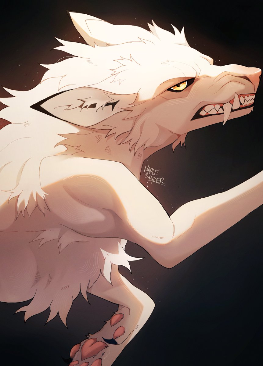 Maplespyder's tweet photo. oh white wolf https://t.co/XKywFgoa9Y