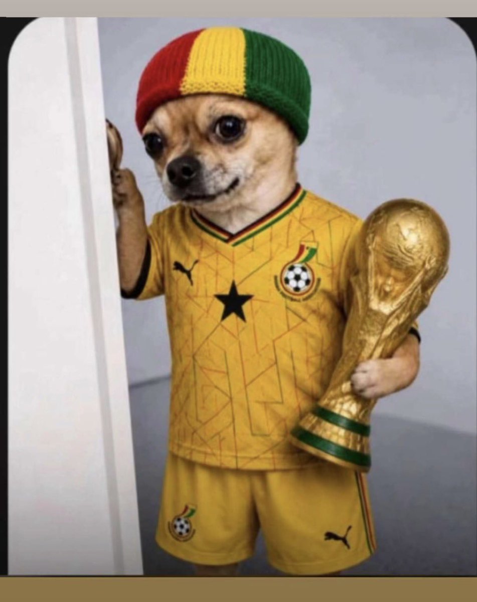 _effahh's tweet photo. #itscominghome
#underdogszn
#ourtimeisnow https://t.co/OcSRBdFjU5