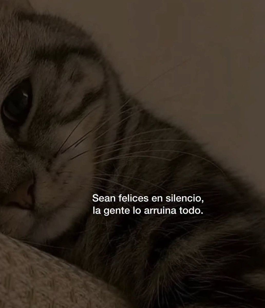 FraseSimple tweet picture
