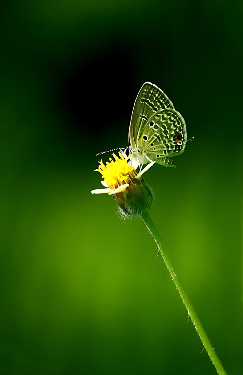 F_Pillinini's tweet photo. so beautiful https://t.co/oztfj8JJdQ