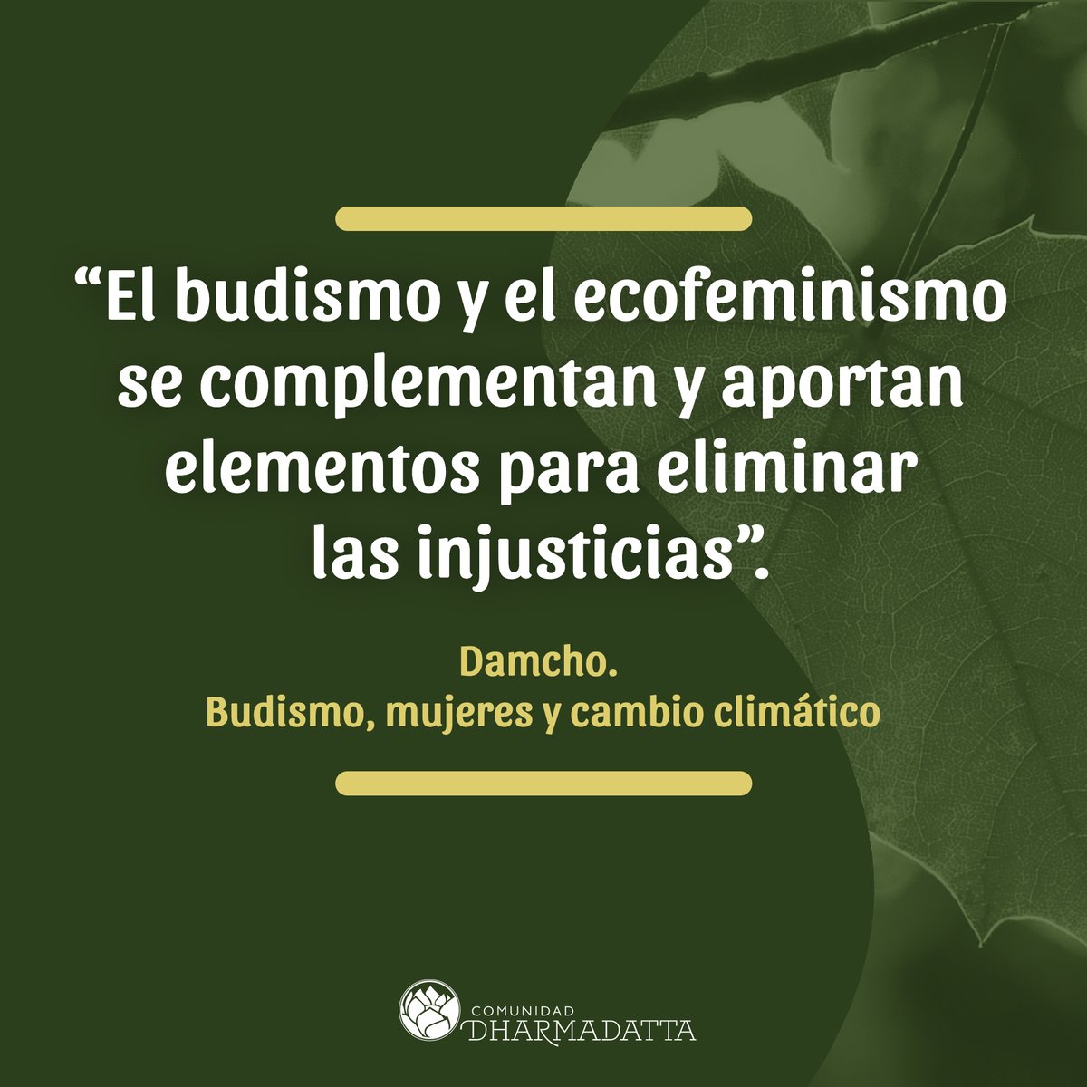 faceBuda tweet picture