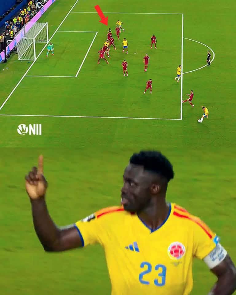LaloDJes's tweet photo. @Diegozti Que no quede en el movido que Portugal comedio una igual y tampoco fue sansionada.

Pero estos asqueroso pseudo aficionados han dañado tanto el fútbol que perdió eran objetividad hace tiempo. Y que de esta forma le robaron a Colombia. https://t.co/OrUXCYQL1a