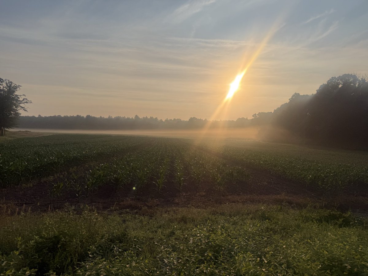 runninggriffin's tweet photo. Hot weather blanketing the area the next few days. Be sure to stay cool and hydrate properly throughout the day! #runchat #running #heatwave #scorcher #hydrate https://t.co/e7EKztR4S1