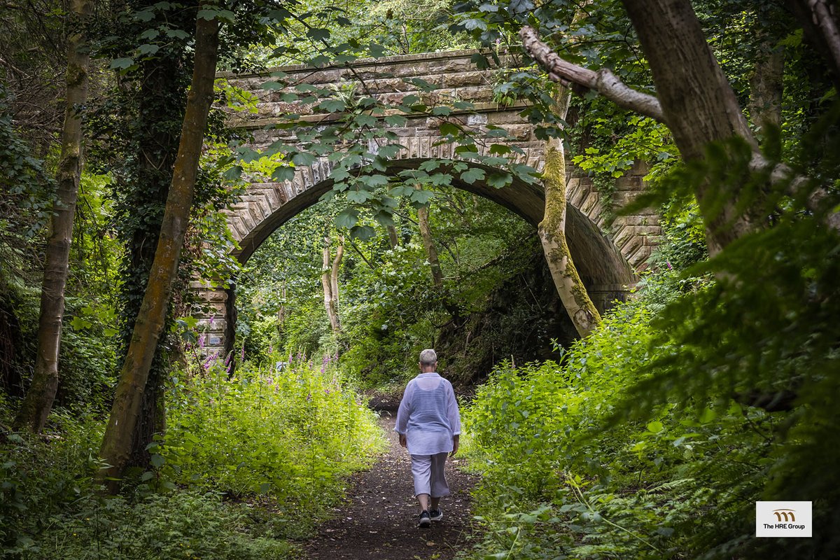 theHREgroup's tweet photo. Having survived @NationalHways intended emergency cull, #RugleyBridge near Alnwick was nestled comfortably in its cutting yesterday when we walked the @BorderlineGWay for the first time.
The craftsmanship is exemplary. https://t.co/xQMFigoWfN