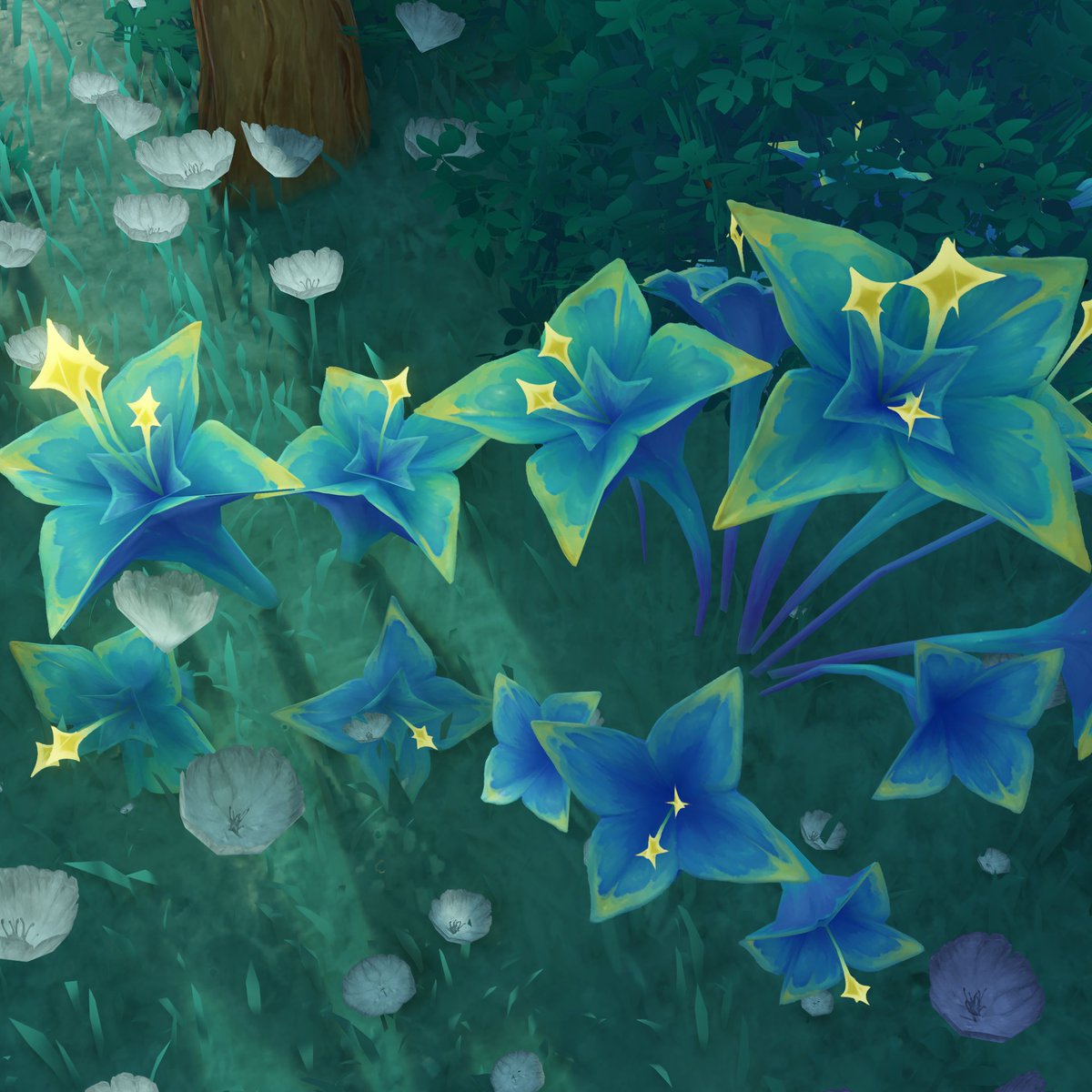 euphemians's tweet photo. i looked at these flowers too quickly... https://t.co/6EsKmF8cvs
