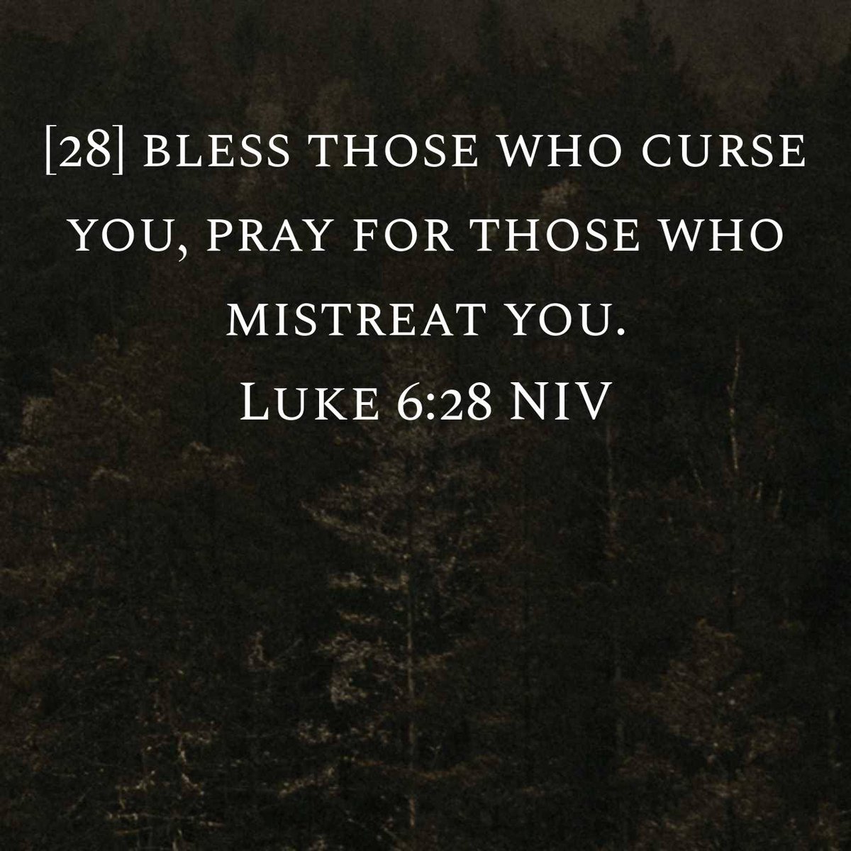 KeithZierler's tweet photo. Luke 6:28 NIV
[28] bless those who curse you, pray for those who mistreat you. 

https://t.co/sGcF7OYWQB https://t.co/wFRC6PdIkF