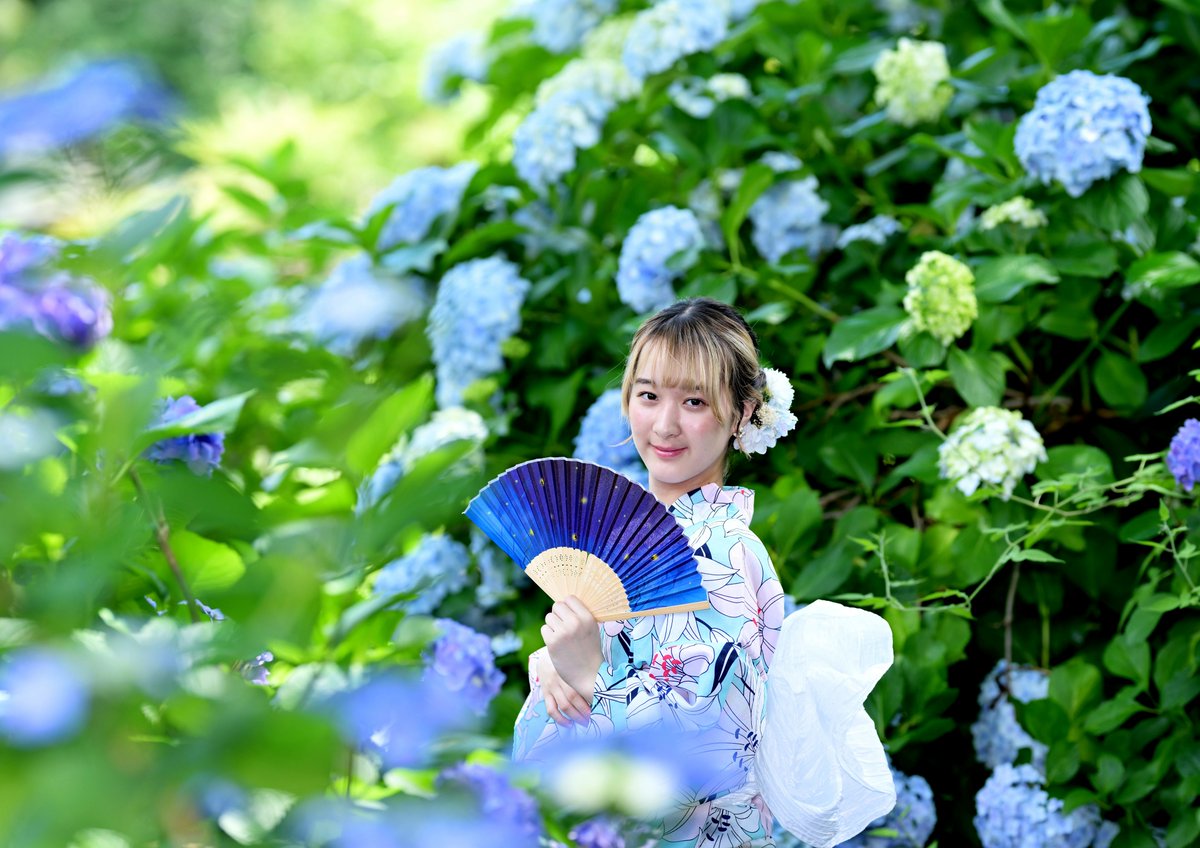 kazudon1107's tweet photo. 渋川浴衣撮影会　GHP　Runaさん　 | かずどんのブログ
 https://t.co/08oegTDbrR #Amebaブログ #アメブロ #GHP撮影会
#Runa
#浴衣
#紫陽花　
Runa⭐　@GHP_Runa https://t.co/zz4epKk8KJ