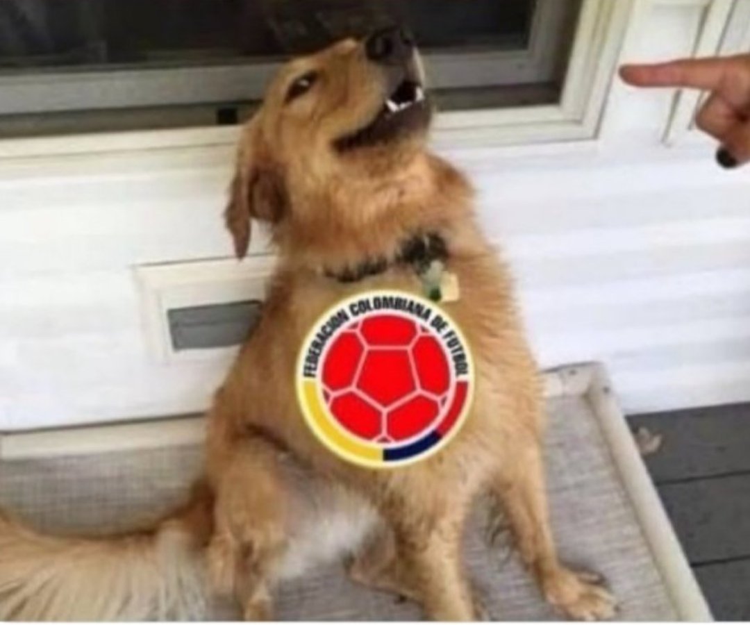 HuevoPorSopa's tweet photo. Colombia, todos los equipos latinoamericanos están pasando de ronda. No la vayas a cagar https://t.co/P9GTwgviT8