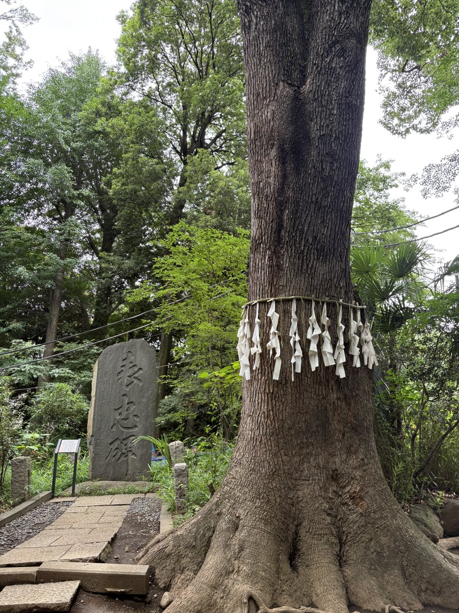 yoshiisouryu tweet picture