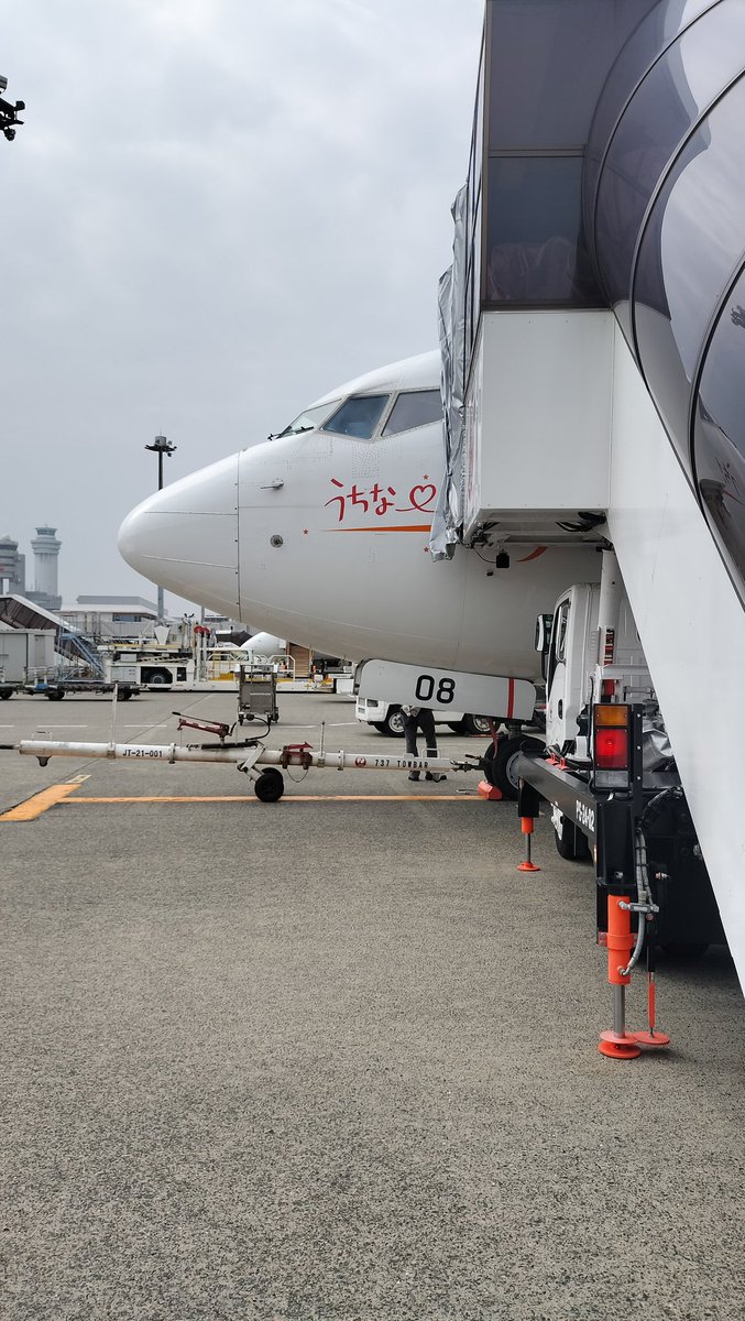tatsuo_train's tweet photo. 9/1から使用開始される1タミ北サテライト。
おきれいでいいけどここまで歩かされるのもなぁ、w
そんではうちな~の翼で飛びます✈
#JAL　#羽田空港 https://t.co/wivmoRGOlA