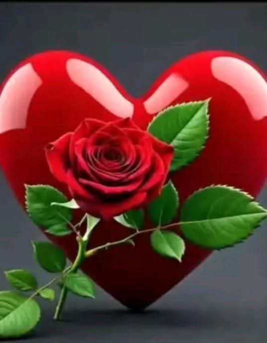 alisabircrpf's tweet photo. @jannataralabony https://t.co/cWRMlPSntB