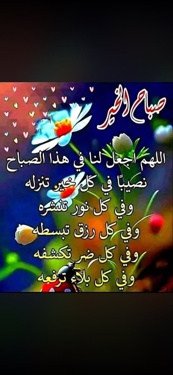 abo_7_khalid's tweet photo. https://t.co/OhVaug8lg9