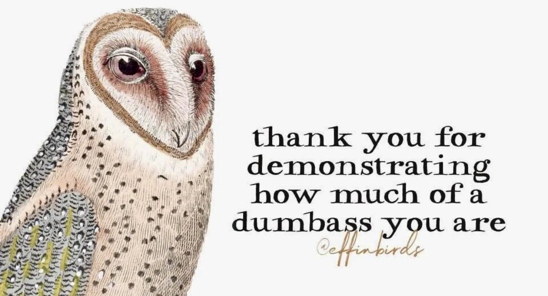 RousterAbout's tweet photo. @DeniseCoyle1320 @RealMartyT7 @krassenstein https://t.co/81uZWa62fl