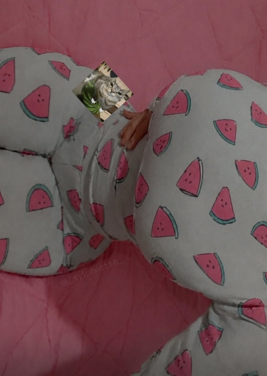 _Sylphiett_'s tweet photo. Do you like watermelon? ;3 https://t.co/OpCajzcPQj