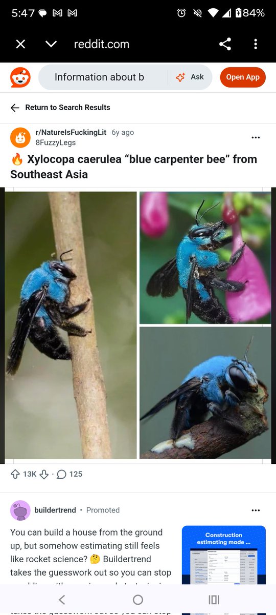 raywils21's tweet photo. @Capt__Sarcastic @Hana_b30 @AmazingNature00 Nobody stole this person's post this individual stole it from something 6 years ago. https://t.co/dxdCnhTCbn