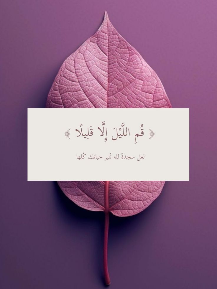 VelvetRain10's tweet photo. #طَيَّبَ_اللهُ_البقاء_عَمَّرَ_اللهُ_الْأَثَر https://t.co/BaLADs05ic