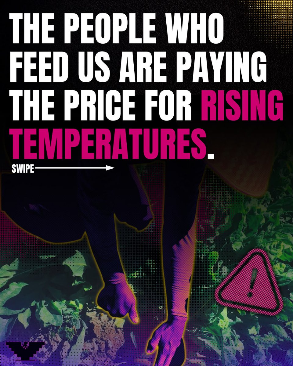 UFWupdates's tweet photo. The people who feed us are paying the price for rising temperatures 1/ https://t.co/h4froUZZDM