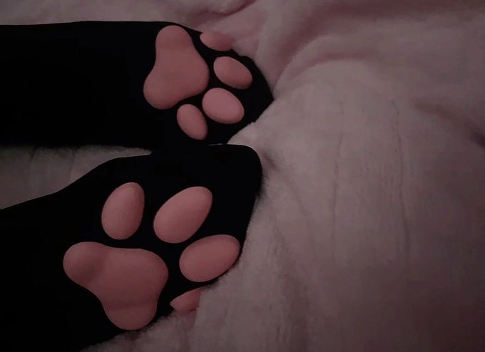 lustfulkxtty's tweet photo. Daddy said he wanted a paw job from his kitty :3 #cnc #rapebait #nsfw #esex #egirl #horny #cuck https://t.co/bcsdOIAxQO