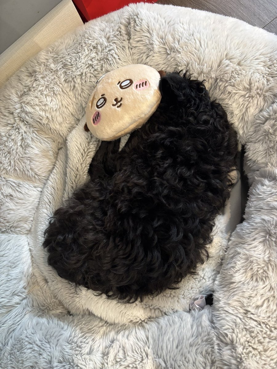 mominagi's tweet photo. 新手のカオナシかと思った:(っ'ヮ'c): https://t.co/7cE7BmxPkI