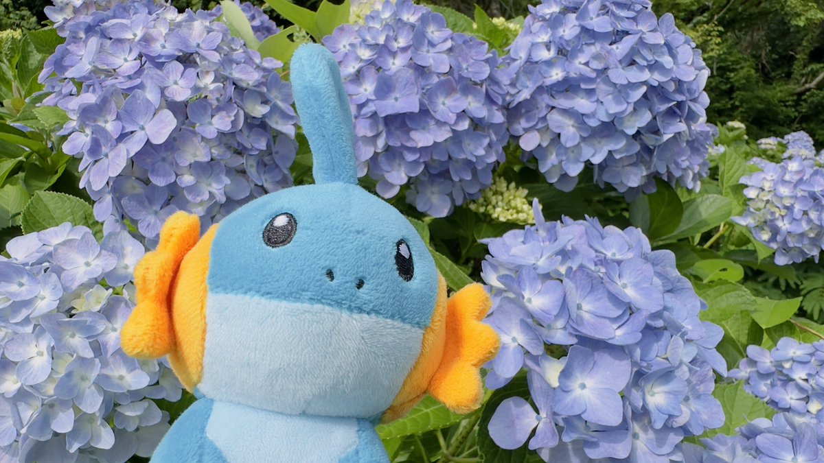 go_origami's tweet photo. 紫陽花とポケモン達✨ https://t.co/XxMvEjxZYJ