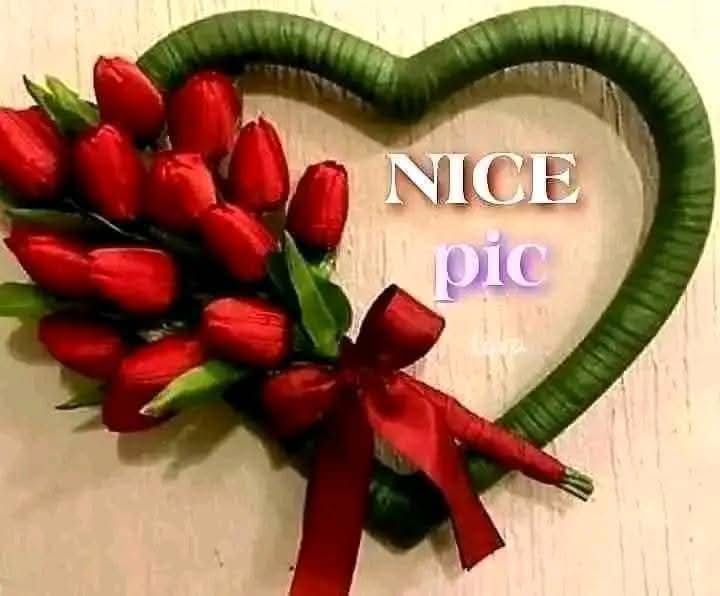 alisabircrpf's tweet photo. @jannataralabony Very Nice pic https://t.co/xuTrUwTjzs