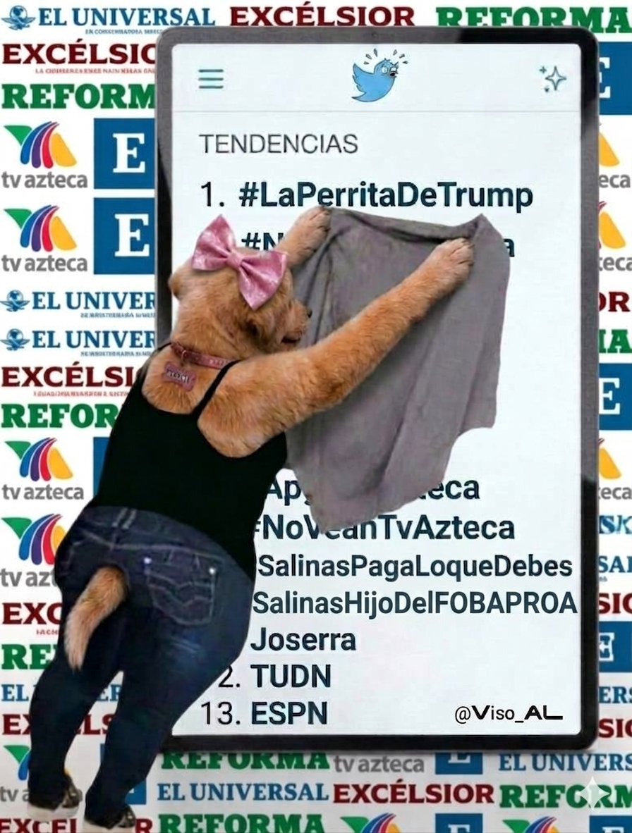 VISO_AL tweet media
