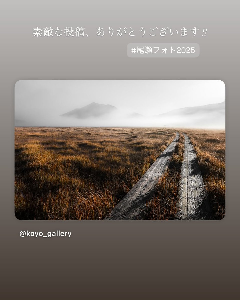 discoveroze's tweet photo. ■＼📸今年の尾瀬の思い出をシェアしよう！／
 🌿尾瀬Instagram投稿キャンペーン2026🌿

いよいよ今年も尾瀬のシーズンが本格的にスタート！
明日より、「尾瀬Instagram投稿キャンペーン」の募集を開始します✨

📣【今年のBIG NEWS！】… https://t.co/ClzQMMNufc