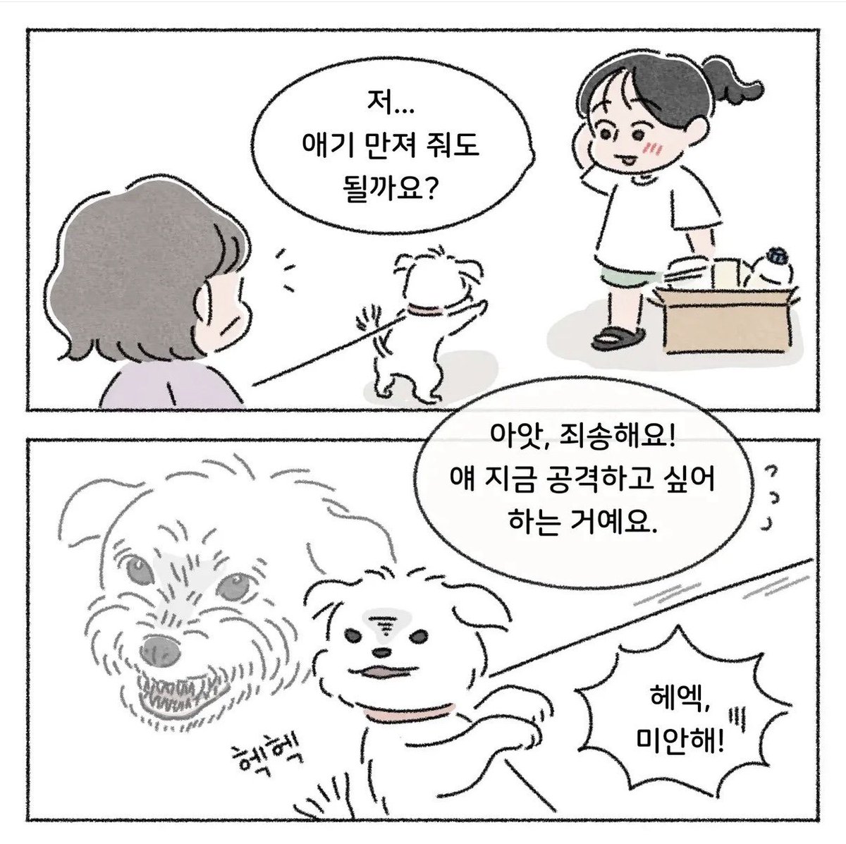 iamkimgosu's tweet photo. 말티즈 나도 키우지만 싸가지로 일등 ㅋㅋㅋㅋ 나도 무서워 ㅋㅋㅋㅋ https://t.co/lDCa1LShv7