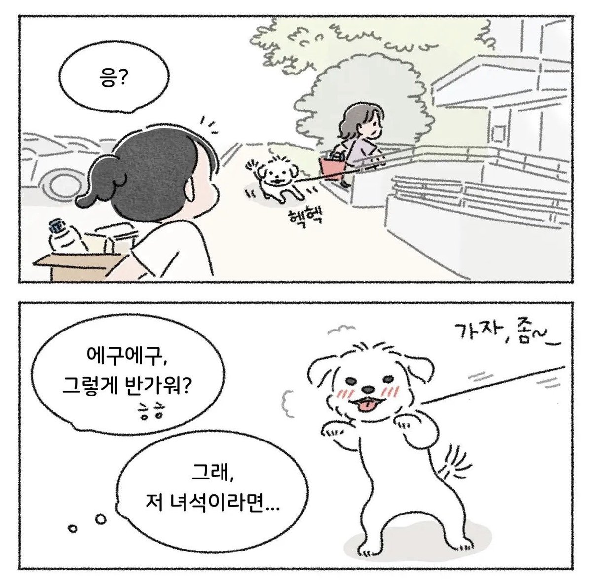 iamkimgosu's tweet photo. 말티즈 나도 키우지만 싸가지로 일등 ㅋㅋㅋㅋ 나도 무서워 ㅋㅋㅋㅋ https://t.co/lDCa1LShv7