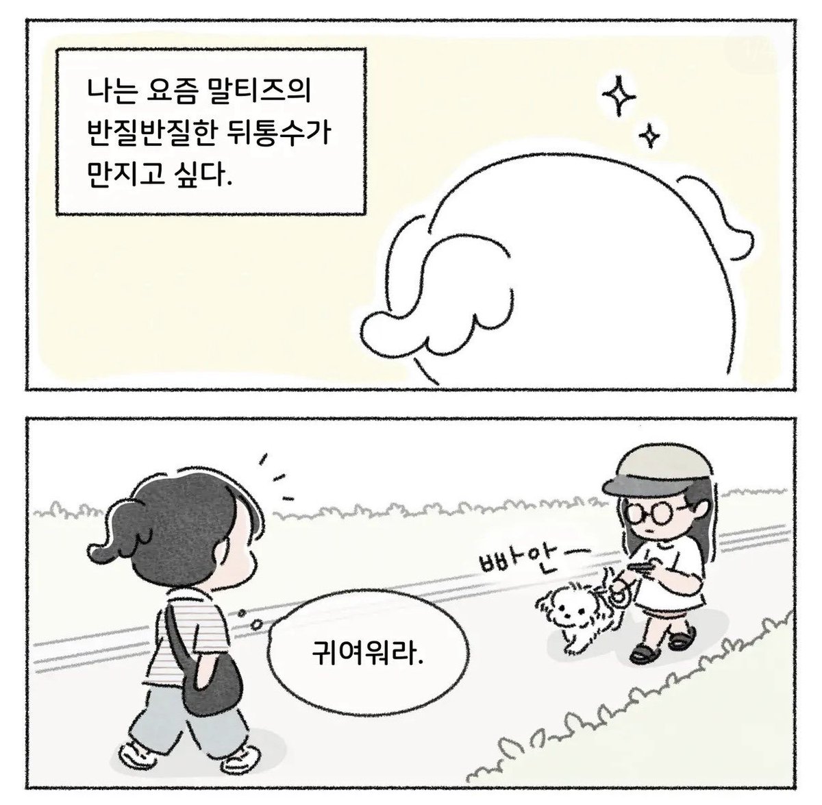iamkimgosu's tweet photo. 말티즈 나도 키우지만 싸가지로 일등 ㅋㅋㅋㅋ 나도 무서워 ㅋㅋㅋㅋ https://t.co/lDCa1LShv7