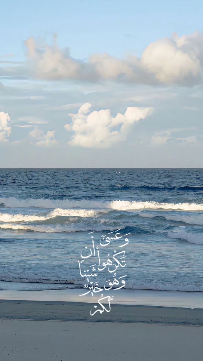 waleed_eltwaeel's tweet photo. https://t.co/DmmtAx6IXw