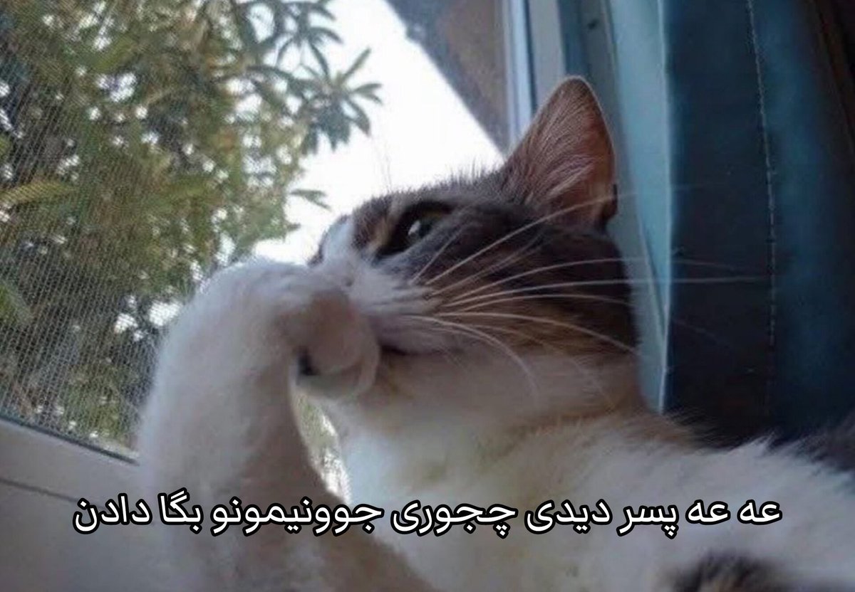 ___amiraliii___'s tweet photo. @soil23133 https://t.co/2cb5qGysCT